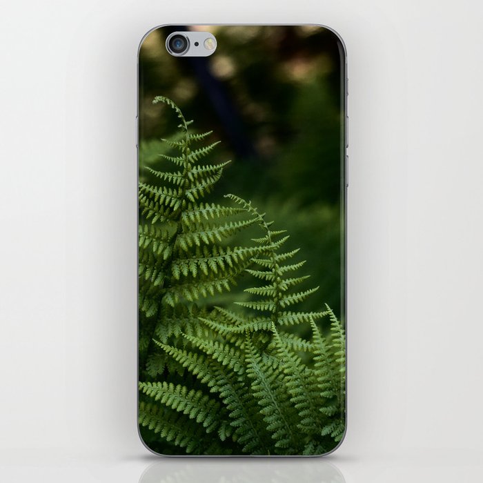 Wild Forest Ferns Photograph iPhone Skin