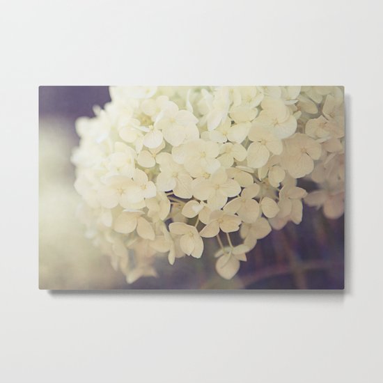 A Touch Of Light Metal Print