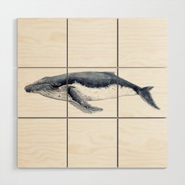 Humpback whale (Megaptera novaeangliae) Wood Wall Art