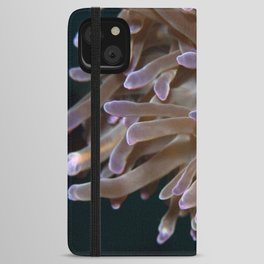 Anemone shrimp hanging out iPhone Wallet Case