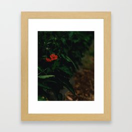 Red flower Framed Art Print