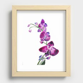 Purple Orchids Recessed Framed Print