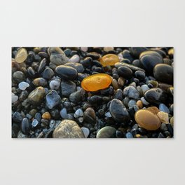 Beach Gems Canvas Print