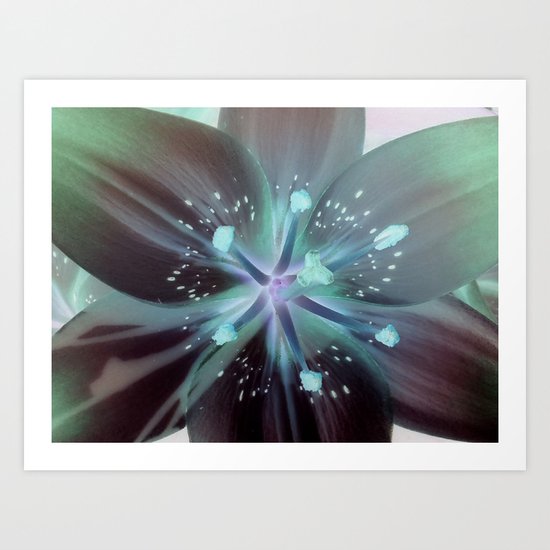 Celeste Art Print