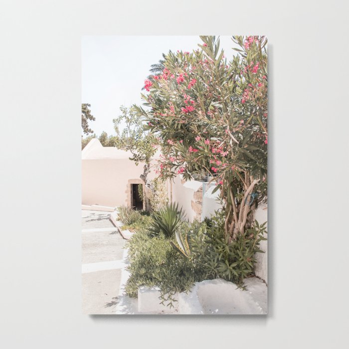 Greece Summer Scenery With Plants Photo | White Island Architecture Art Print | Europe Travel Photography Metal Print