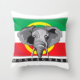 Montagnard Flag Throw Pillow