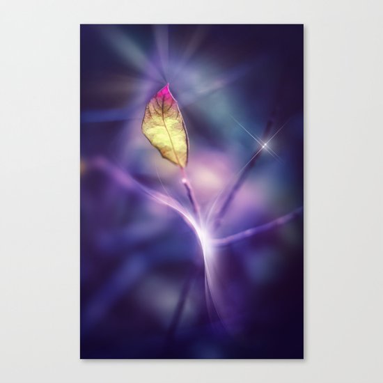 LIGHT IN THE DARK Canvas Print