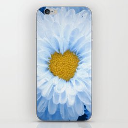 100% Artist Commissions Donated - Floral - Flowers Blue Tinted Chrysanthemums Nature Photo For Ukraine Refugees iPhone Skin