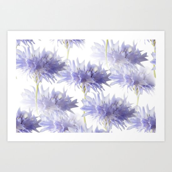 Pale Blue Cornflowers Art Print