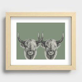 Scottish Highland Cows, pen and ink illustration, grassy green Recessed Framed Print
