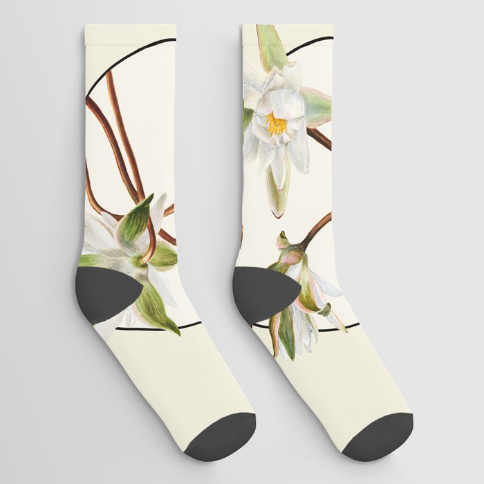 Pisces & Water Lily - Flowers of the Zodiac Socks