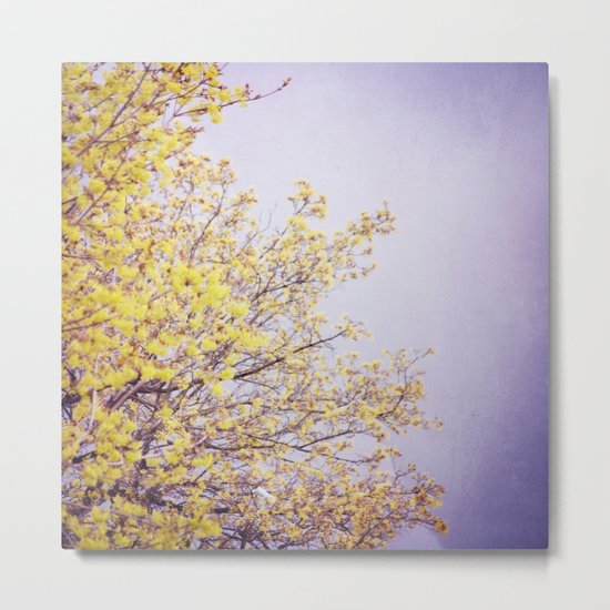 Lilac Skies Metal Print