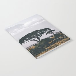 South Africa Photography - Acacia Tree On The Dry Savannah Notebook