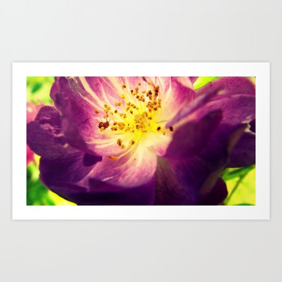 Little Bit Country Art Print