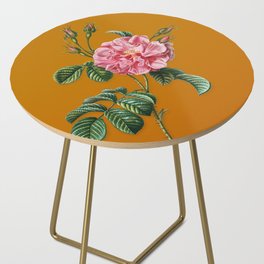 Vintage Pink Wild Rose Botanical Illustration on Bright Orange Side Table