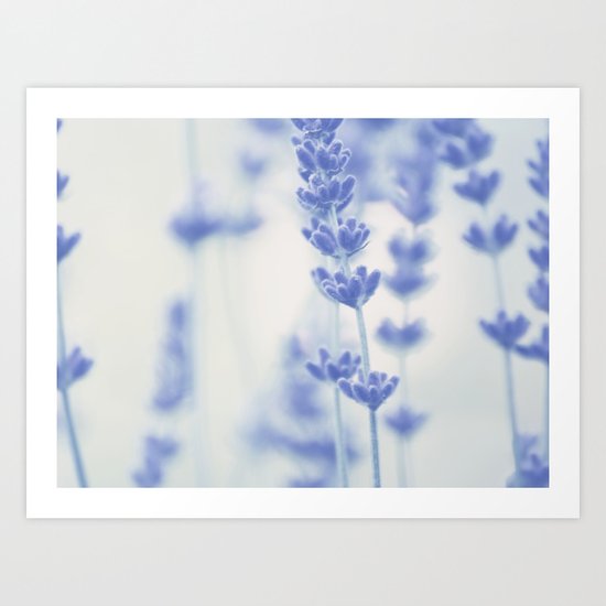 Lavender Art Print