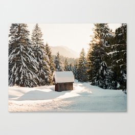 Snowy Winter in the Woods of Austria / Fine art landscape on film Art Print Canvas Print