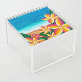 Color Burst Acrylic Box