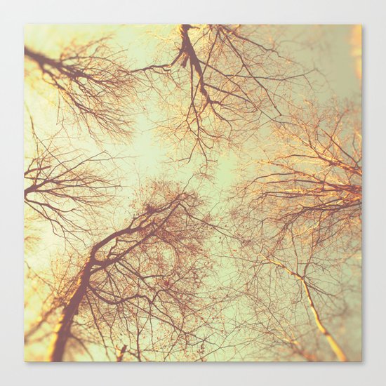 Sweet Dreams Canvas Print