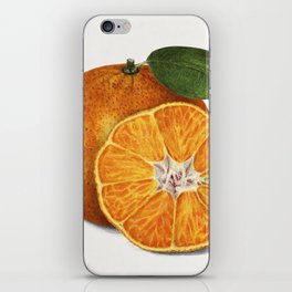 Delicious Orange Tangerine Illustration iPhone Skin