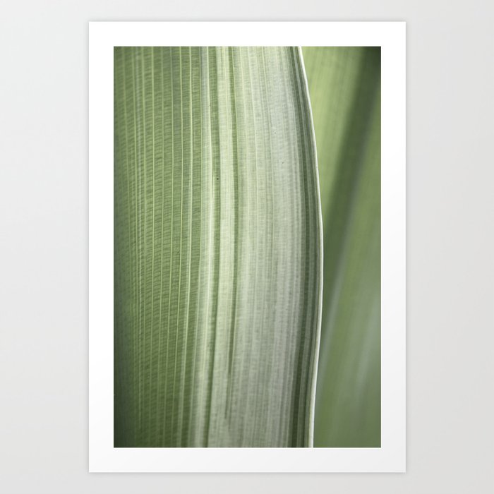 Botanical green abstract tropical leaf art print - mindful nature and travel photography Art Print