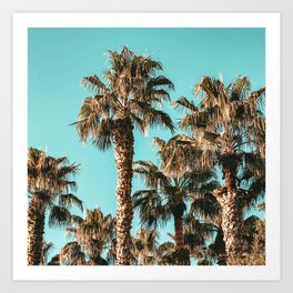 {1 of 2} Classy Palm Leaf Sky // Summer Teal Palmtree Art Print Art Print