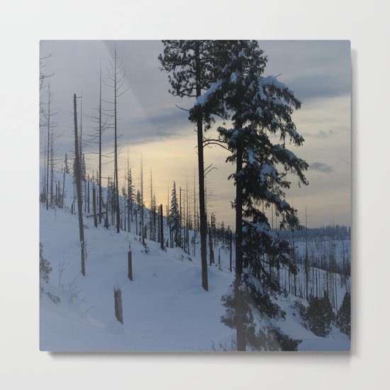 Deeper Drifts Metal Print