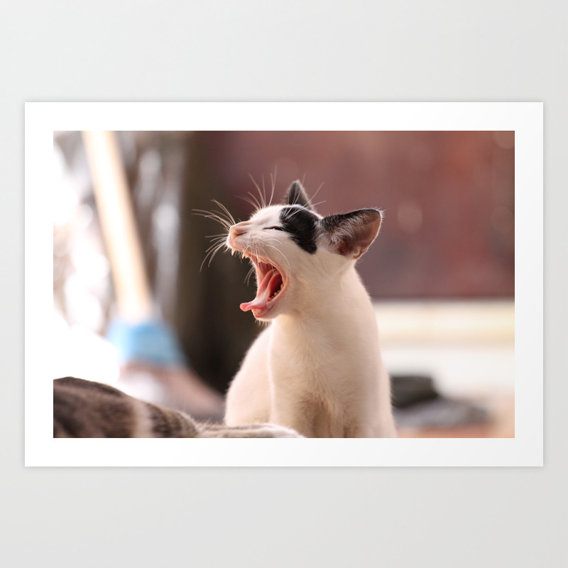 Black And White Cat Yawning Art Print By Limitlessdesign Society6