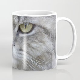 Stunning Grey Cat Pet Photo Portrait Coffee Mug