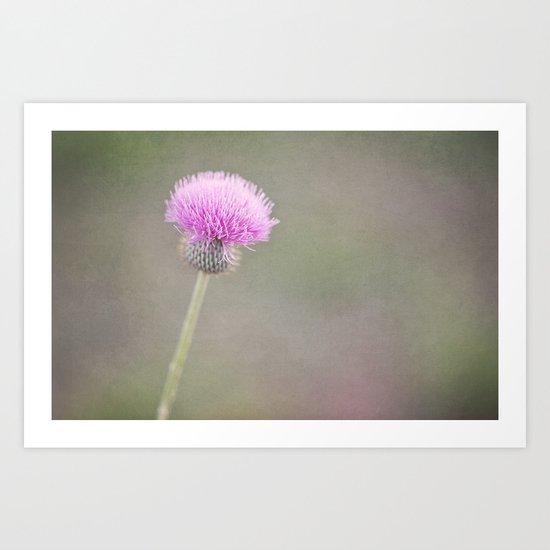 Plum Fairy Art Print