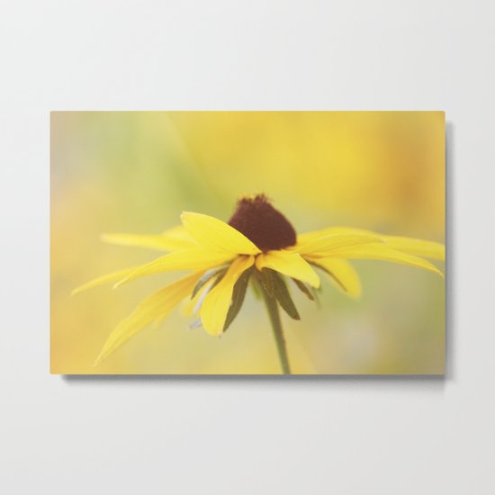 Amarillo Haze Metal Print