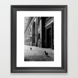 Two French Cats, Paris Left Bank black and white cityscape photograph / photography Framed Art Print