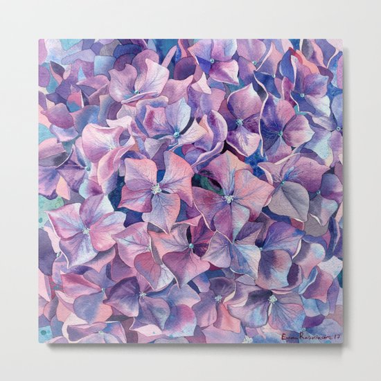 Violet hydrangea Metal Print