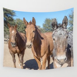 Two mules and a horse. Wall Tapestry