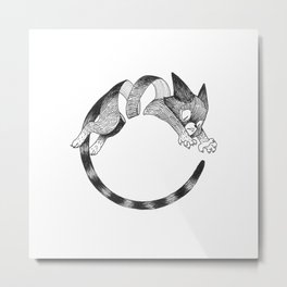 Cat Loop Metal Print