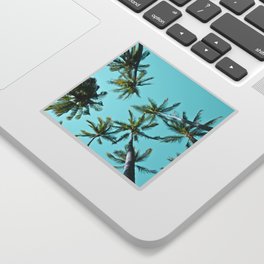 Kāma'ole Beach Palms Sticker