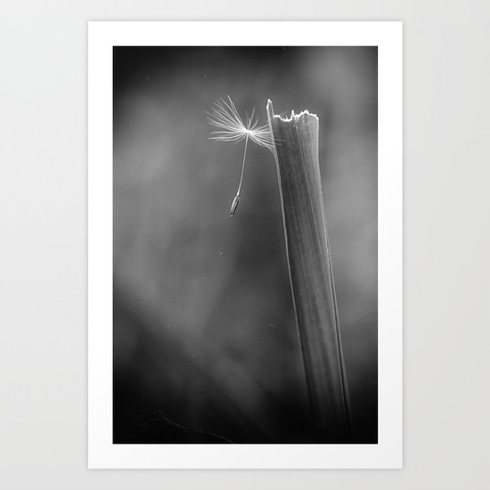 lone traveler Art Print