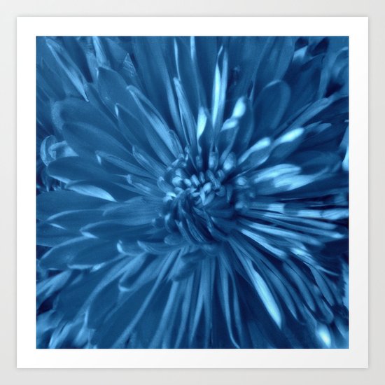 Flower | Flowers | Sky Blue Mums Art Print