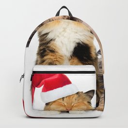 Animal Cat & Dog Holiday Christmas Cat Dog Santa H Backpack