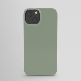 Muted Pastel Green Solid Color Pairs Behr Roof Top Garden S390-4 / Accent Shade / Hue / All One iPhone Case