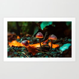 Mushroom Glow Art Print