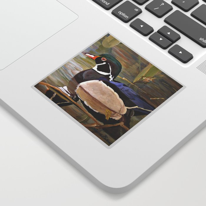Wood Duck Water Foul Acrylic Painting Sticker By Betweentheweeds Society6