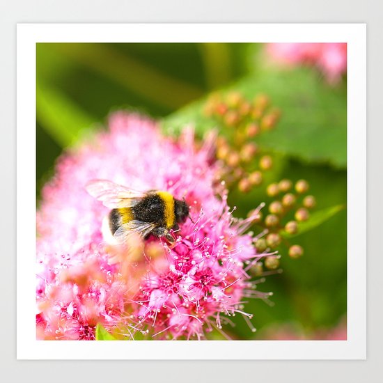 Busy Bee Bzzzzzzz Art Print