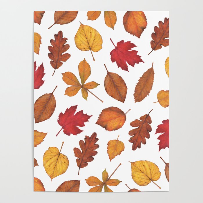 Autumn Leaves Watercolor Pattern | Fall Leaves | Autumn Foliage Design | Poster