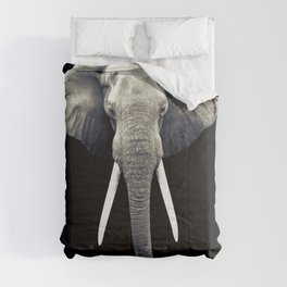 Elephant Portrait Comforter