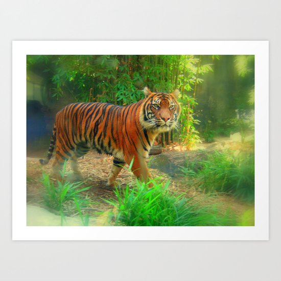Tiger Tiger Art Print