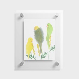Fluffy Birds on Flower - Yellow and Green Floating Acrylic Print