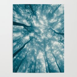 Smoky Mountain Summer Forest Teal - National Park Nature Photography Poster
