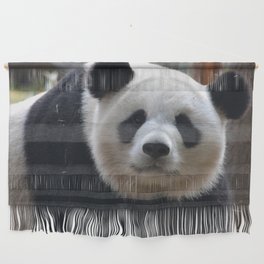 China Photography - Cute Panda In The Wilderness Wall Hanging