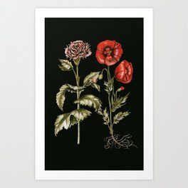 Carnation & Poppy on Charcoal Art Print